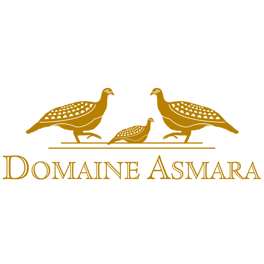 Domaine Asmara Vineyard