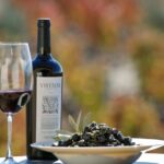 Exclusive Vines Argentinian Wines